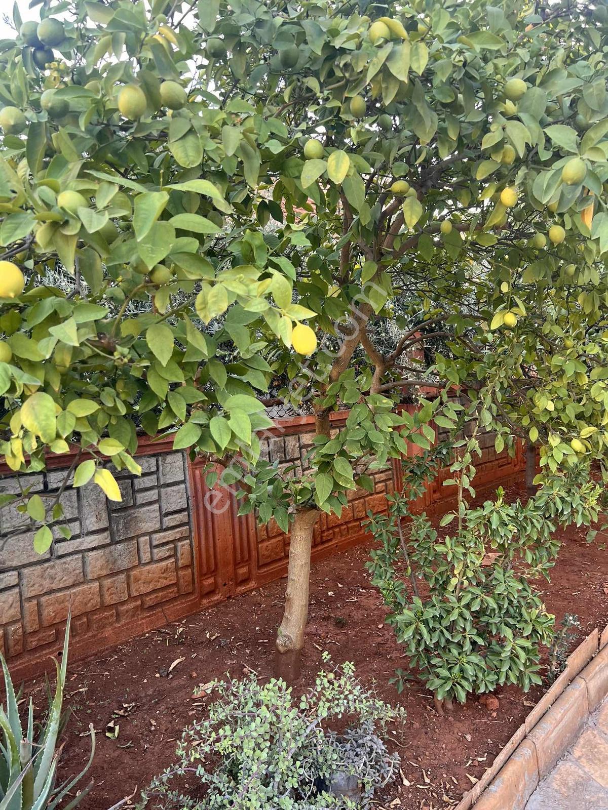 Barış Mahallesinde Kaçırılmayacak Konumda Satılık Daire! — fotoğraf 22