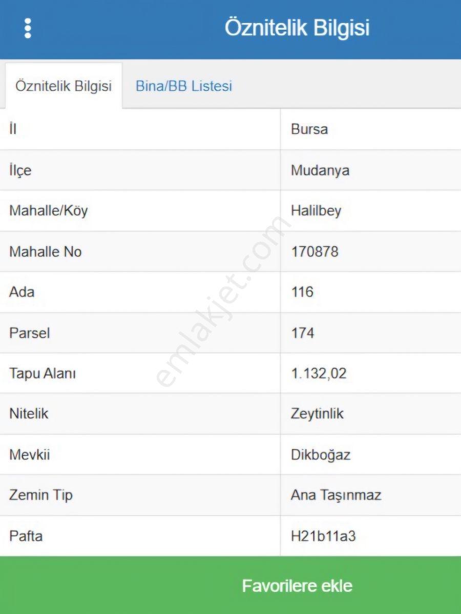 İdenova'dan Mudanya Halilbey'de Satılık Zeytinlik — fotoğraf 2