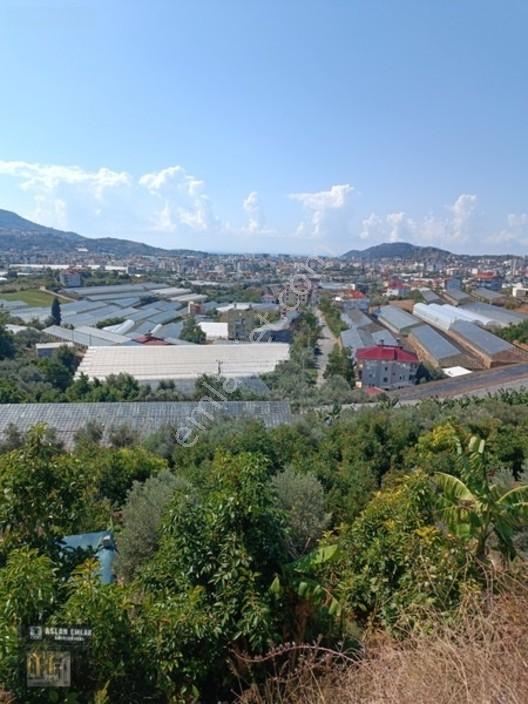 Aslan Emlaktan Satılık Merkez Konum Full Manzaralı Villa Arsası — fotoğraf 2