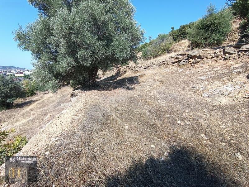 Aslan Emlaktan Satılık Merkez Konum Full Manzaralı Villa Arsası — fotoğraf 7