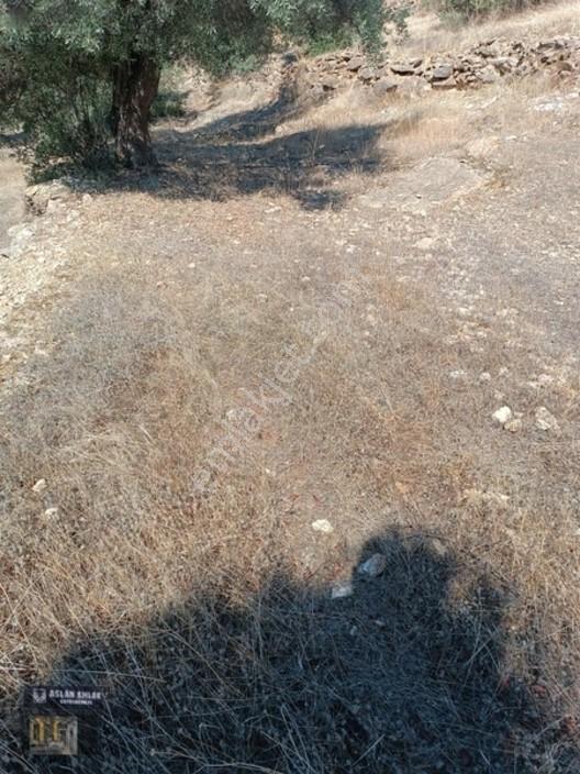 Aslan Emlaktan Satılık Merkez Konum Full Manzaralı Villa Arsası — fotoğraf 11