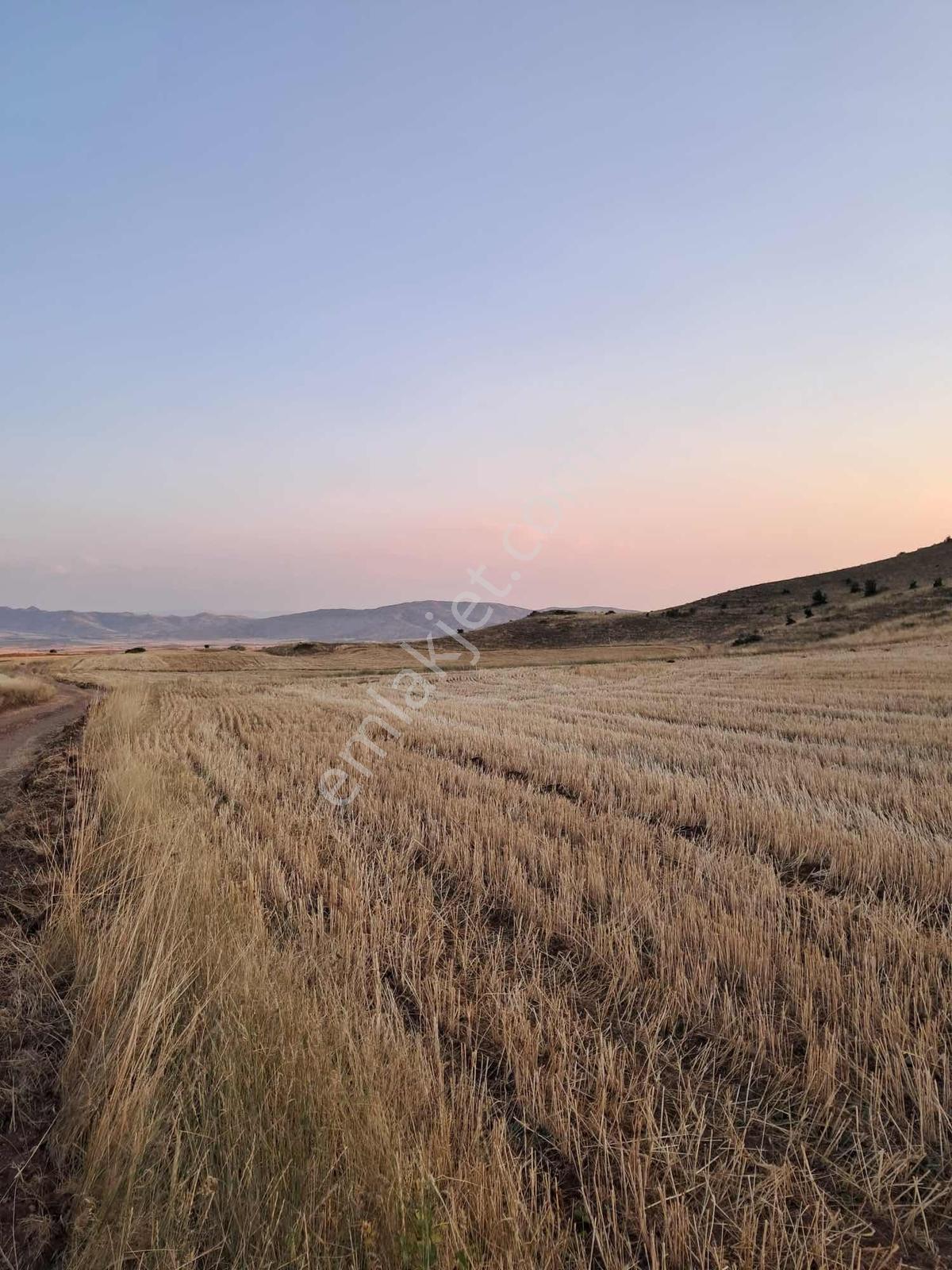Alfin Gayrimenkul'den Sofular'da Satılık Tek Tapu Tarla — fotoğraf 6