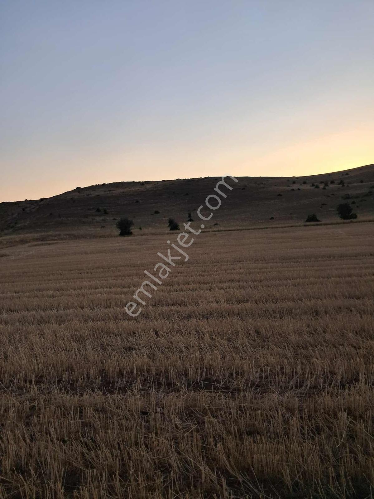 Alfin Gayrimenkul'den Sofular'da Satılık Tek Tapu Tarla — fotoğraf 9