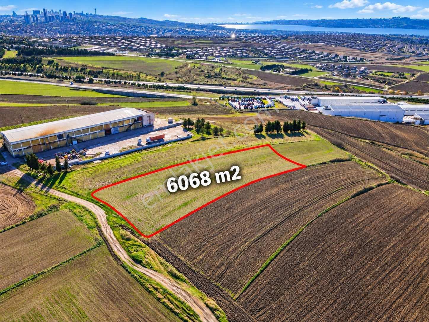 Büyükçekmece Karaağaçta Tem'e Komşu 6.068 M² Ticari İmarlı Arsa — fotoğraf 5