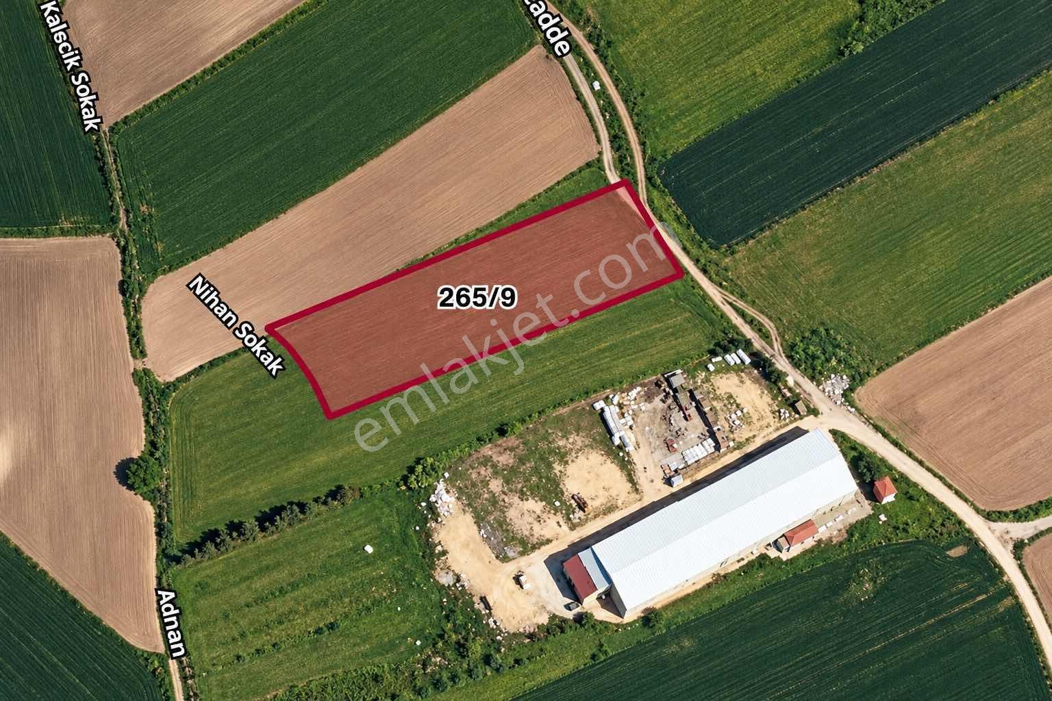 Büyükçekmece Karaağaçta Tem'e Komşu 6.068 M² Ticari İmarlı Arsa — fotoğraf 8