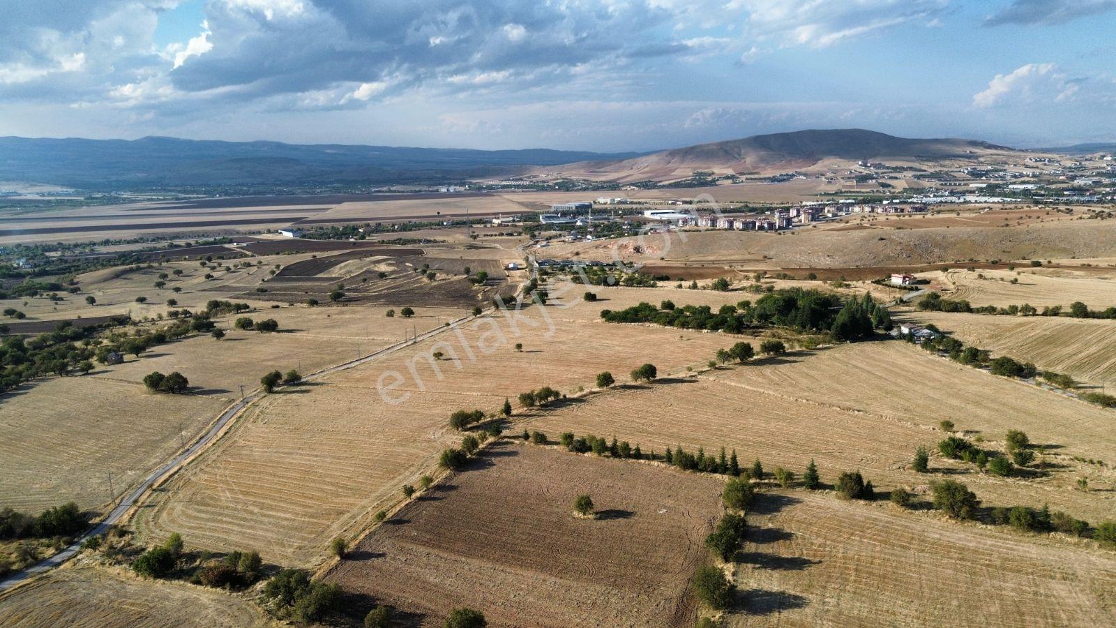 Aşsağı Holpenk İmar Sınırında Müthiş Yatırımlık Arsaa — fotoğraf 4