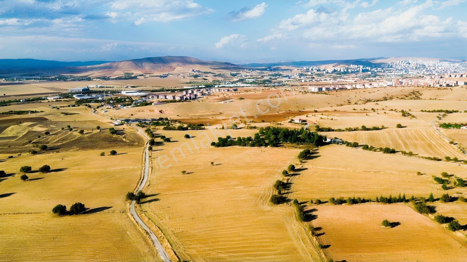 Aşsağı Holpenk İmar Sınırında Müthiş Yatırımlık Arsaa — fotoğraf 5
