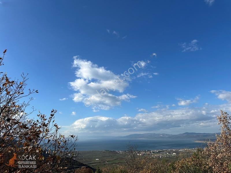 Çamdibi Köyünde Göl Manzaralı 16724m2 Satılık Zeytin Bahçesi — fotoğraf 25