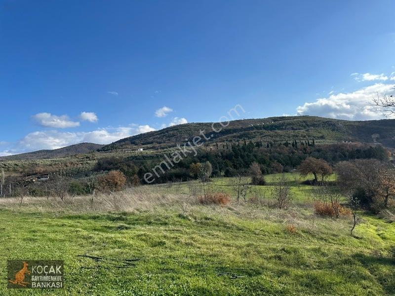 Çamdibi Köyünde Göl Manzaralı 16724m2 Satılık Zeytin Bahçesi — fotoğraf 28