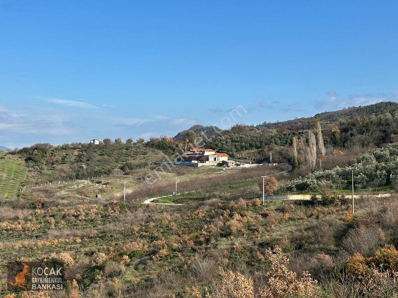 Çamdibi Köyünde Göl Manzaralı 16724m2 Satılık Zeytin Bahçesi — fotoğraf 30