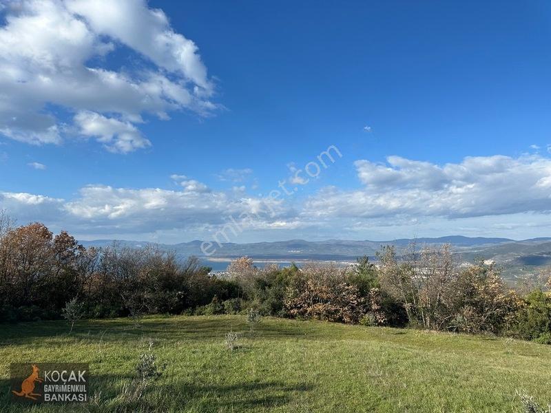 Çamdibi Köyünde Göl Manzaralı 16724m2 Satılık Zeytin Bahçesi — fotoğraf 33