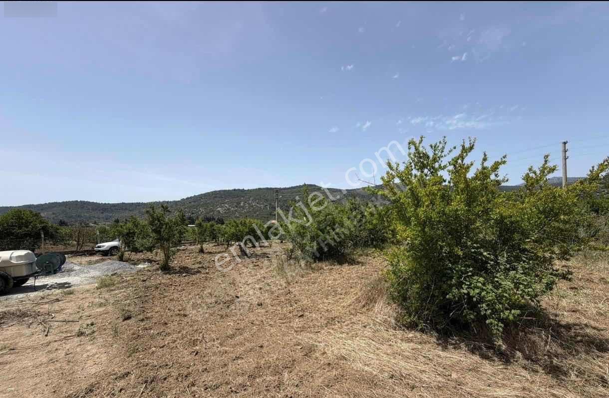Ahmetbeyli'de Denize Yakın 223 M2 Bahçeler — fotoğraf 9