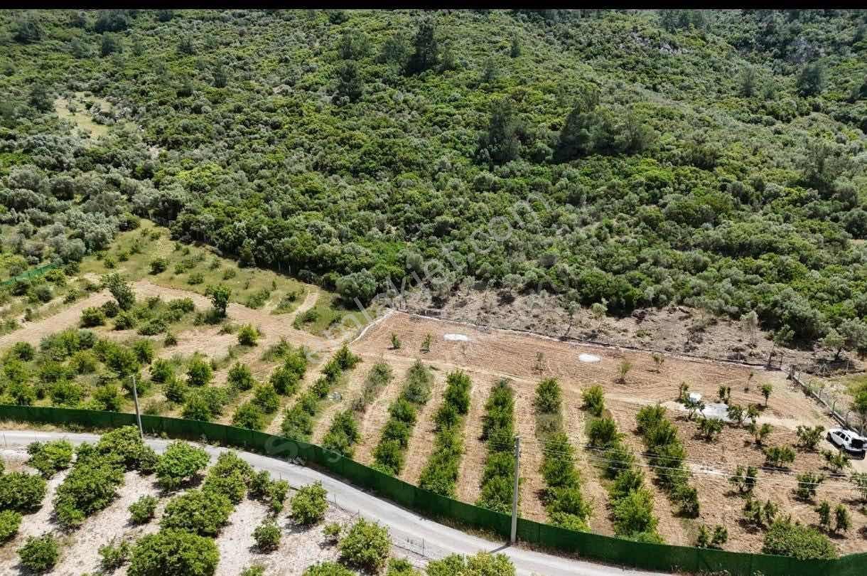 Ahmetbeyli'de Denize Yakın 223 M2 Bahçeler — fotoğraf 10