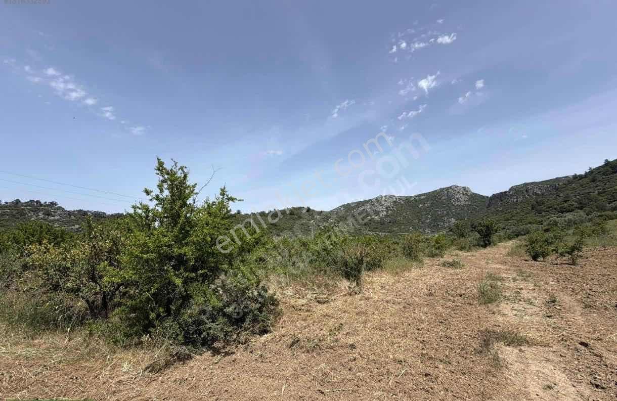 Ahmetbeyli'de Denize Yakın 223 M2 Bahçeler — fotoğraf 11