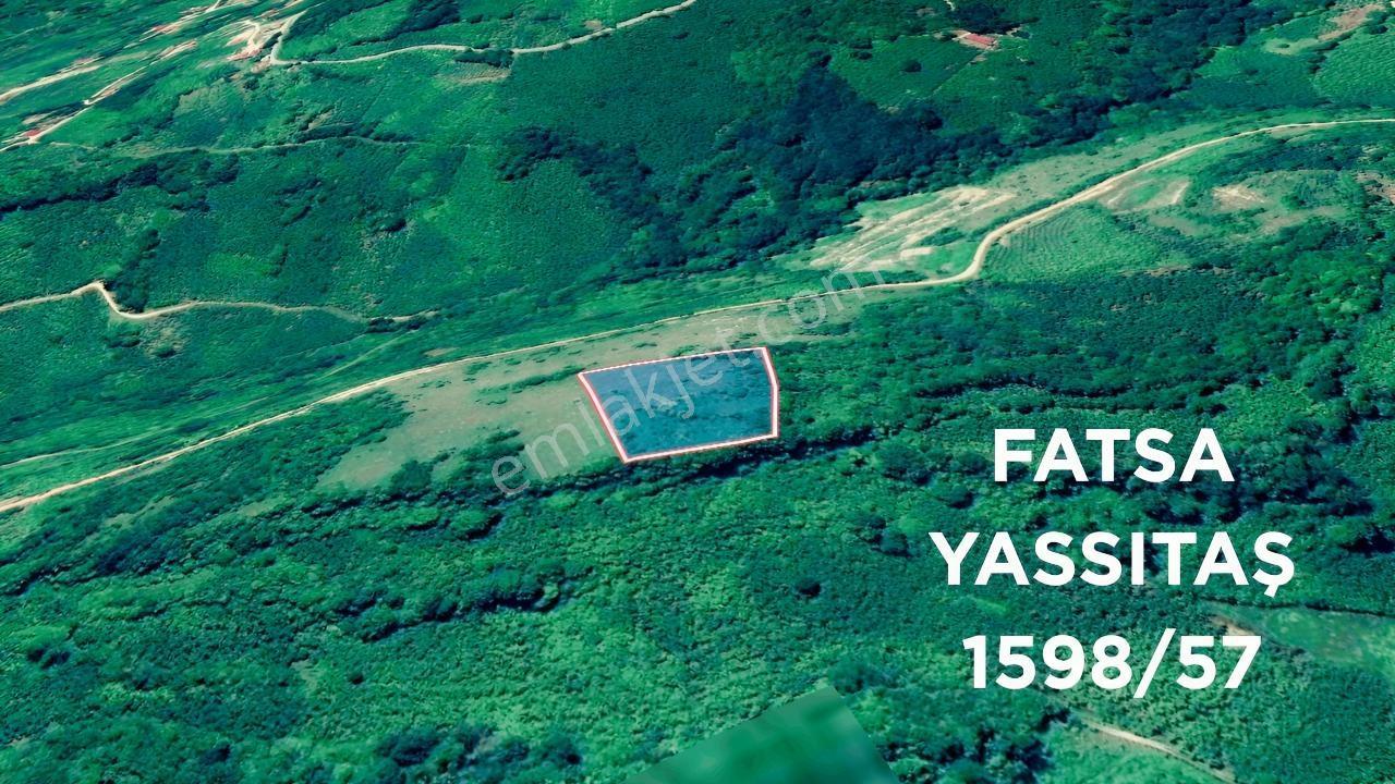 Fatsa Yassıtaş'ta Eşsiz Parseller İle Yatırım Fırsatı! — fotoğraf 4