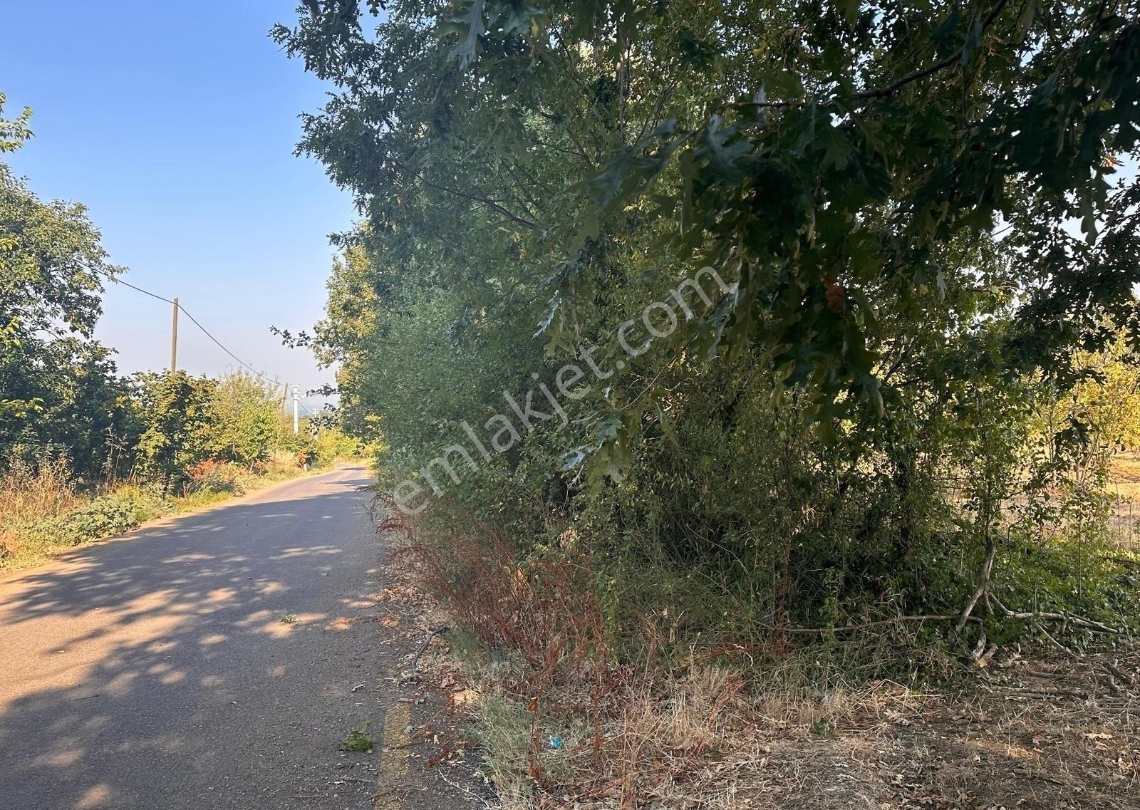 İkramiye De Çok Amaçlı Parsel — fotoğraf 6