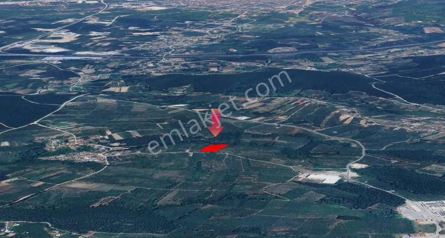 İkramiye De Çok Amaçlı Parsel — fotoğraf 17