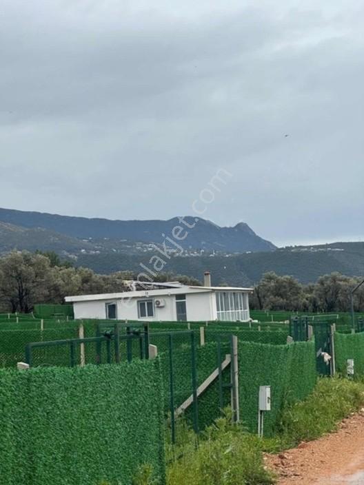 Meta'dan Antalya Kaş Çayköy'de 400m2 Villa Parseli — fotoğraf 6