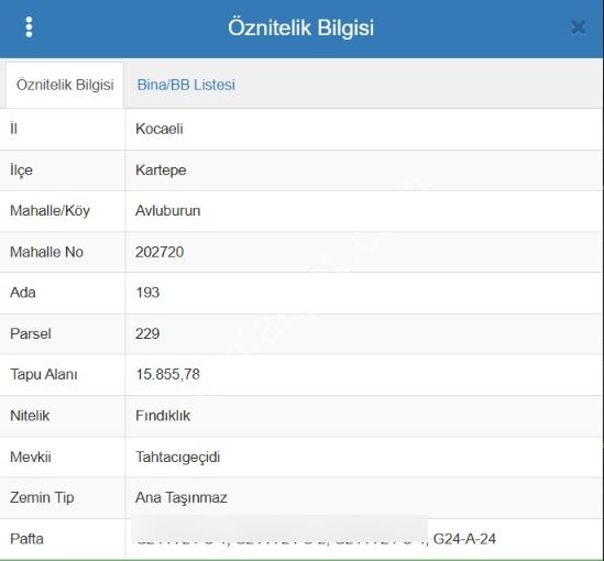 Kartepe Avluburun'da 13.855m², 600 Ağaçlı Fındıklık Arazisi — fotoğraf 11