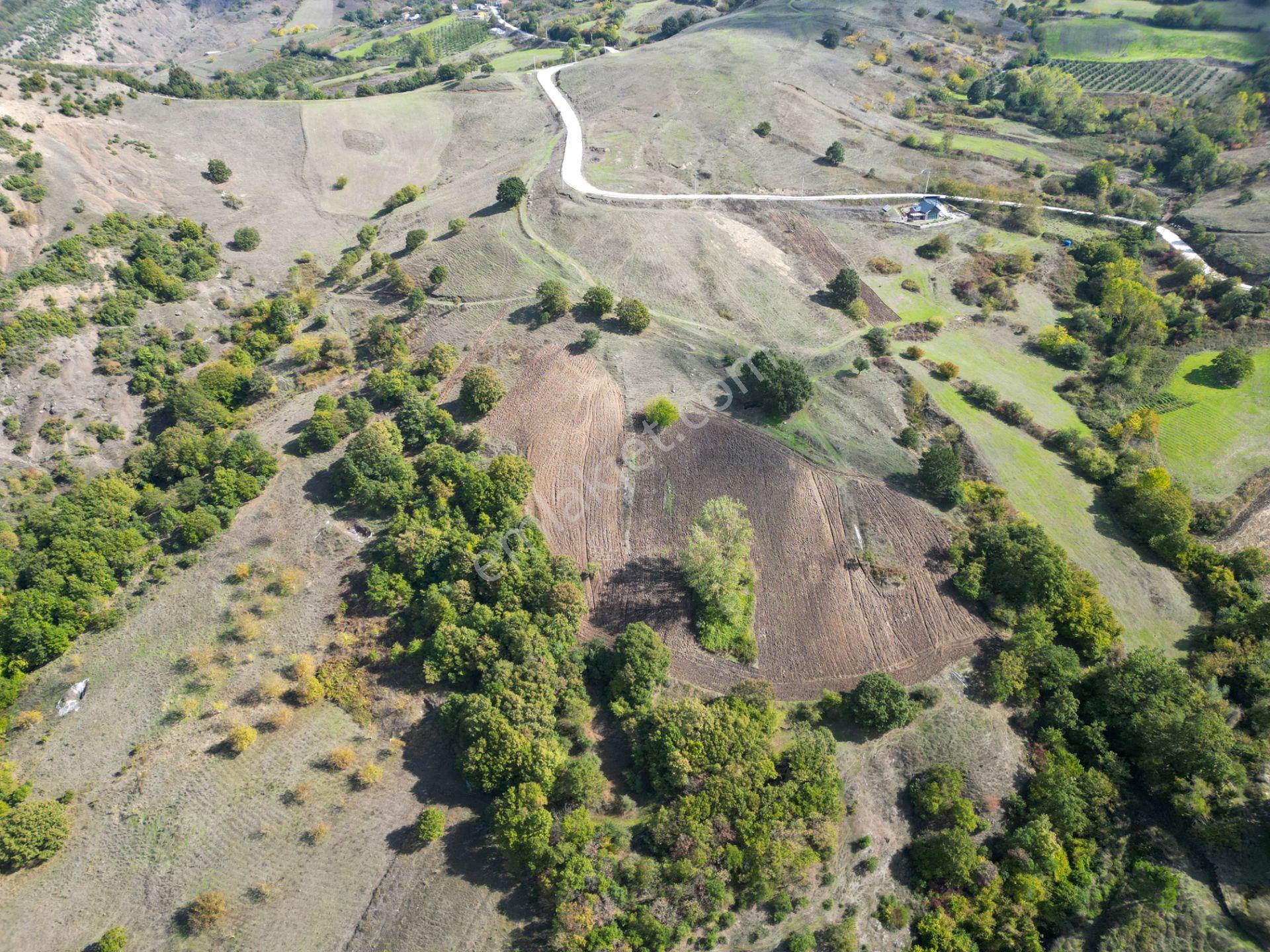 Uzmanlar'dan Fulacık 25.026 M2 %5 İmarlı Satılık Tarla — fotoğraf 5