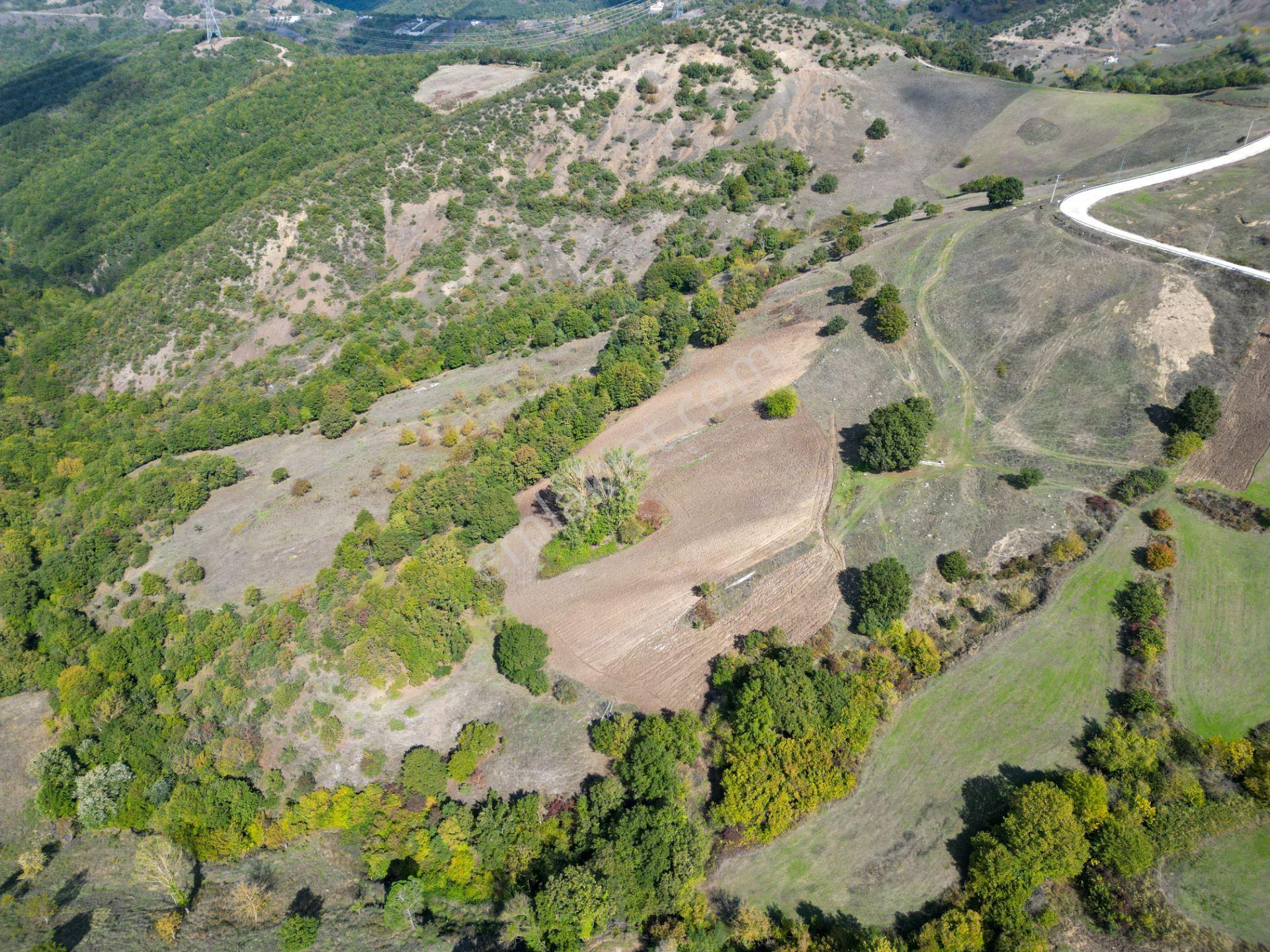 Uzmanlar'dan Fulacık 25.026 M2 %5 İmarlı Satılık Tarla — fotoğraf 10