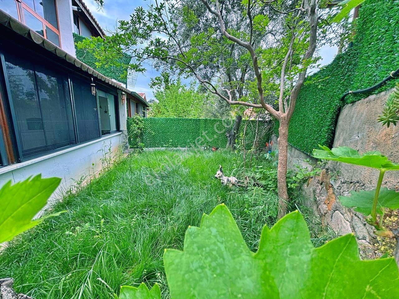 Uytundan Pelitköyde Denize 300 Metre Bahçe Kullanımlı 2+1 Villa — fotoğraf 25