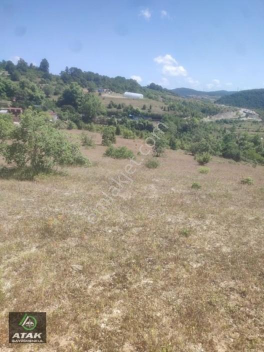 Gebze Duraklı Tek Tapu Villa Çiftlik Yapımına Uygun Yer — fotoğraf 3