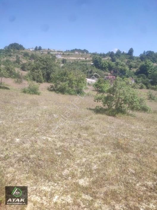 Gebze Duraklı Tek Tapu Villa Çiftlik Yapımına Uygun Yer — fotoğraf 4