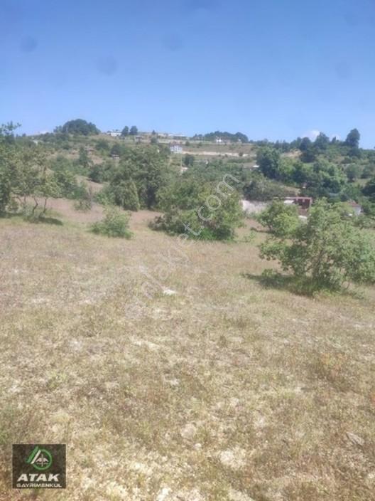 Gebze Duraklı Tek Tapu Villa Çiftlik Yapımına Uygun Yer — fotoğraf 5