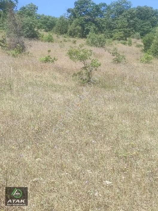 Gebze Duraklı Tek Tapu Villa Çiftlik Yapımına Uygun Yer — fotoğraf 6