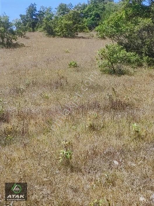 Gebze Duraklı Tek Tapu Villa Çiftlik Yapımına Uygun Yer — fotoğraf 8