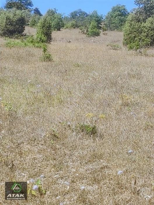 Gebze Duraklı Tek Tapu Villa Çiftlik Yapımına Uygun Yer — fotoğraf 9