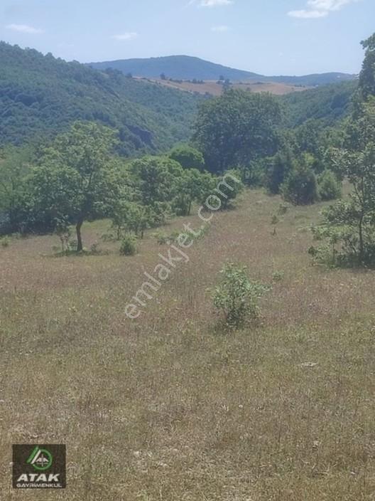Gebze Duraklı Tek Tapu Villa Çiftlik Yapımına Uygun Yer — fotoğraf 10