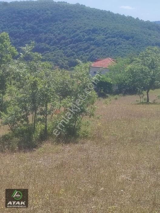 Gebze Duraklı Tek Tapu Villa Çiftlik Yapımına Uygun Yer — fotoğraf 11