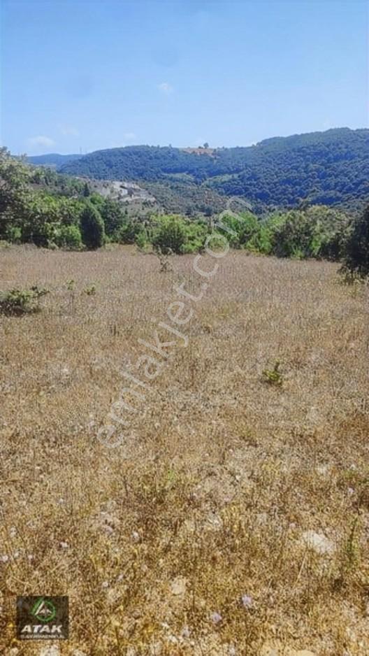 Gebze Duraklı Tek Tapu Villa Çiftlik Yapımına Uygun Yer — fotoğraf 14