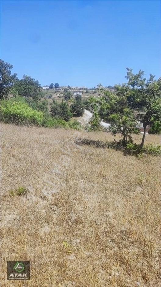 Gebze Duraklı Tek Tapu Villa Çiftlik Yapımına Uygun Yer — fotoğraf 16
