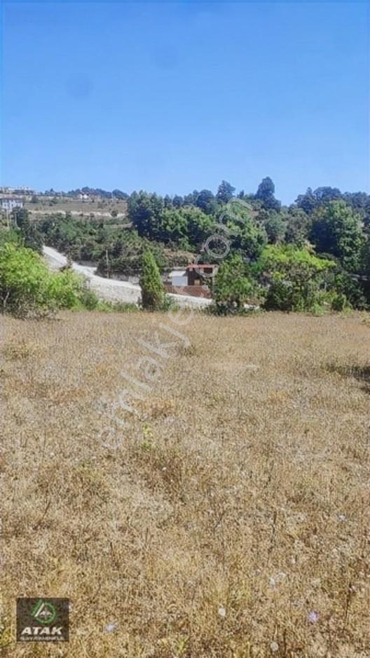 Gebze Duraklı Tek Tapu Villa Çiftlik Yapımına Uygun Yer — fotoğraf 17