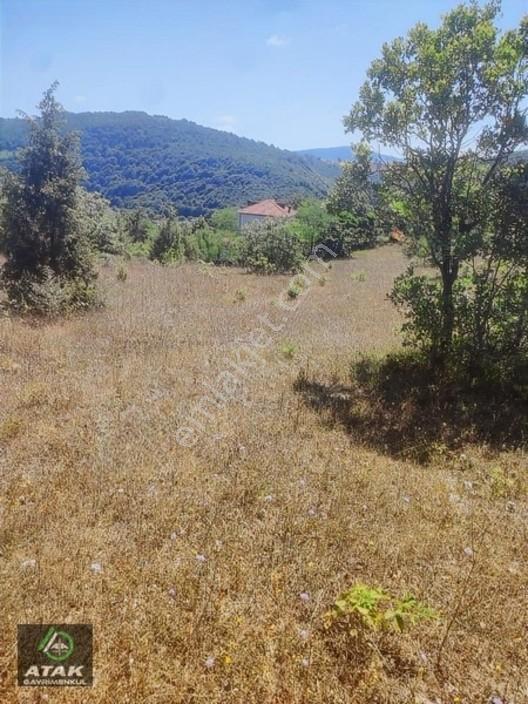 Gebze Duraklı Tek Tapu Villa Çiftlik Yapımına Uygun Yer — fotoğraf 18