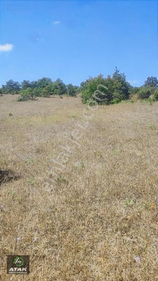 Gebze Duraklı Tek Tapu Villa Çiftlik Yapımına Uygun Yer — fotoğraf 21