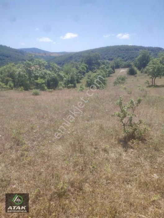 Gebze Duraklı Tek Tapu Villa Çiftlik Yapımına Uygun Yer — fotoğraf 26