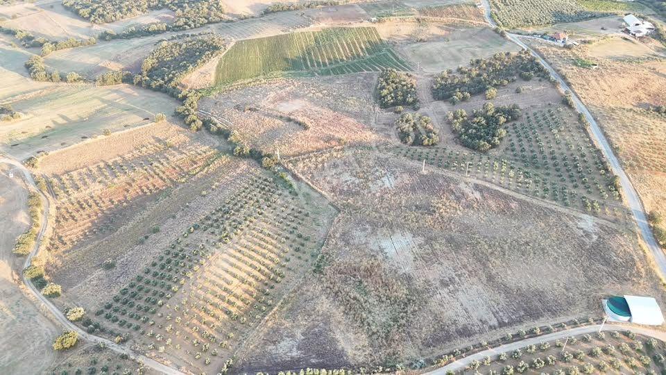 Tc Emlaktan Satılık 38 Dönüm Ekime Hazır Arazi ! — fotoğraf 3