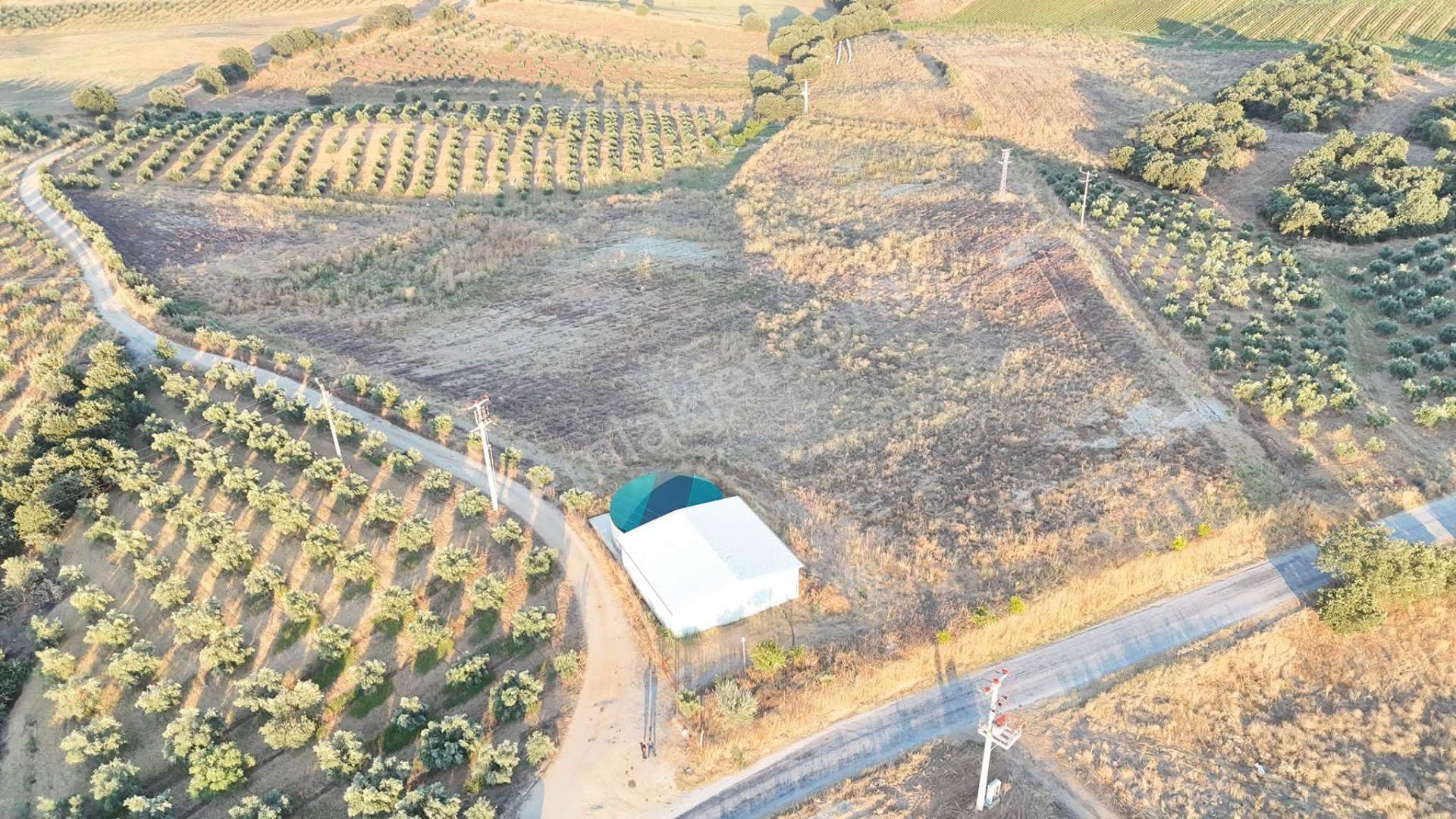 Tc Emlaktan Satılık 38 Dönüm Ekime Hazır Arazi ! — fotoğraf 5