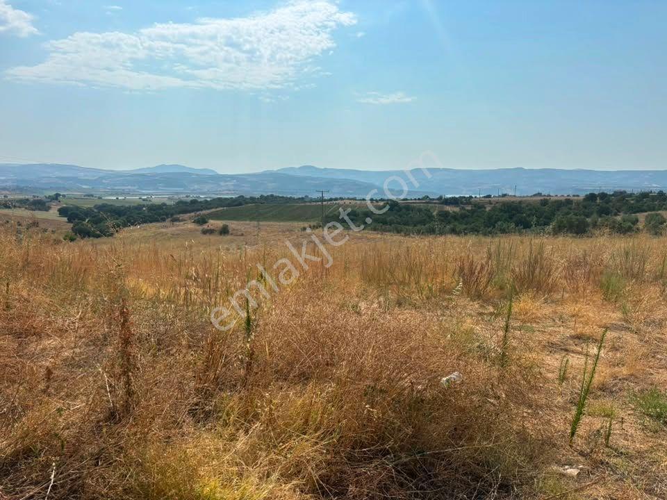 Tc Emlaktan Satılık 38 Dönüm Ekime Hazır Arazi ! — fotoğraf 7