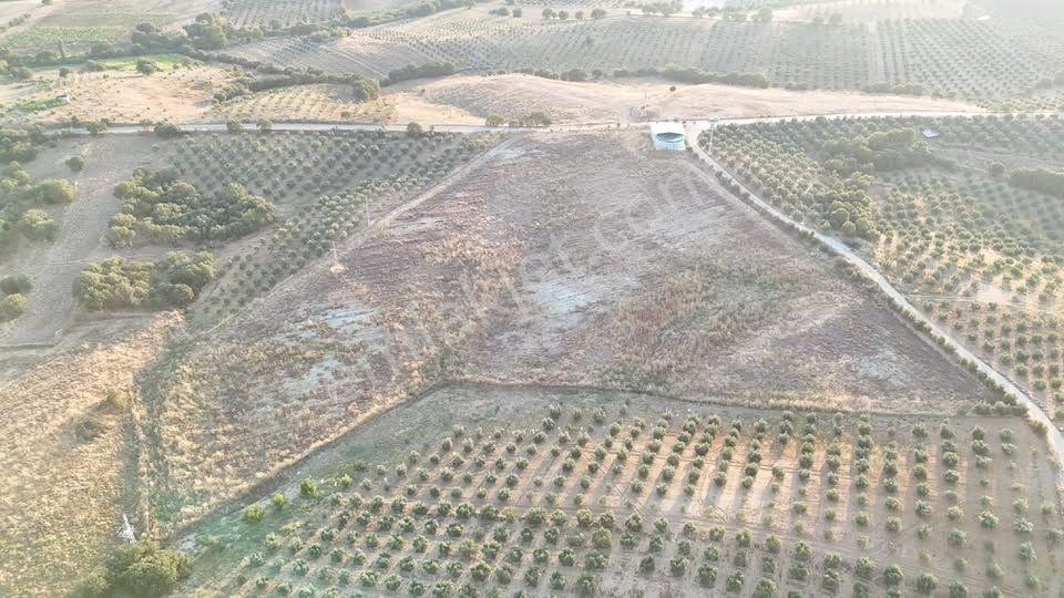 Tc Emlaktan Satılık 38 Dönüm Ekime Hazır Arazi ! — fotoğraf 21