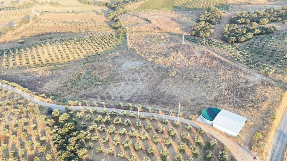Tc Emlaktan Satılık 38 Dönüm Ekime Hazır Arazi ! — fotoğraf 34