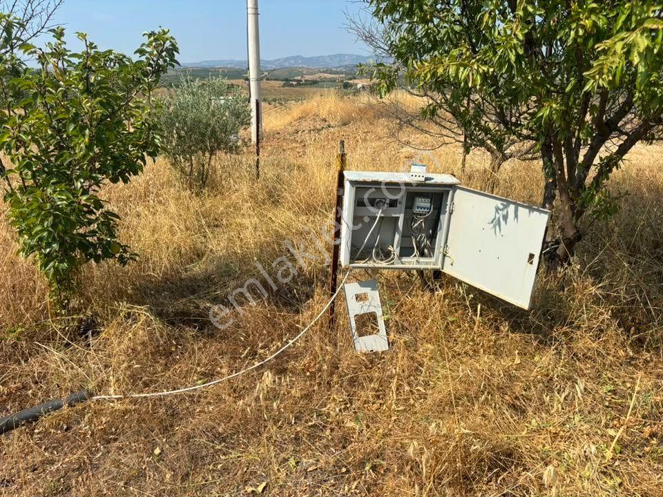 Tc Emlaktan Satılık 38 Dönüm Ekime Hazır Arazi ! — fotoğraf 35