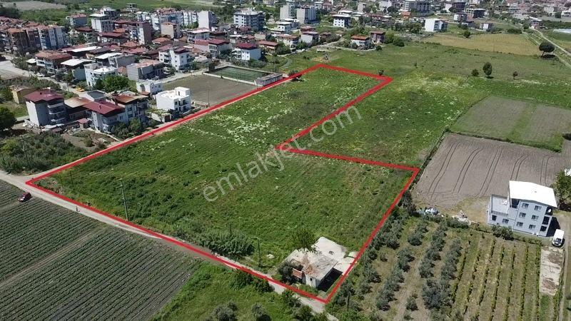 Salihli Yılmaz Mah.İmar Sınırında Satılık 12 Dönüm Tarla