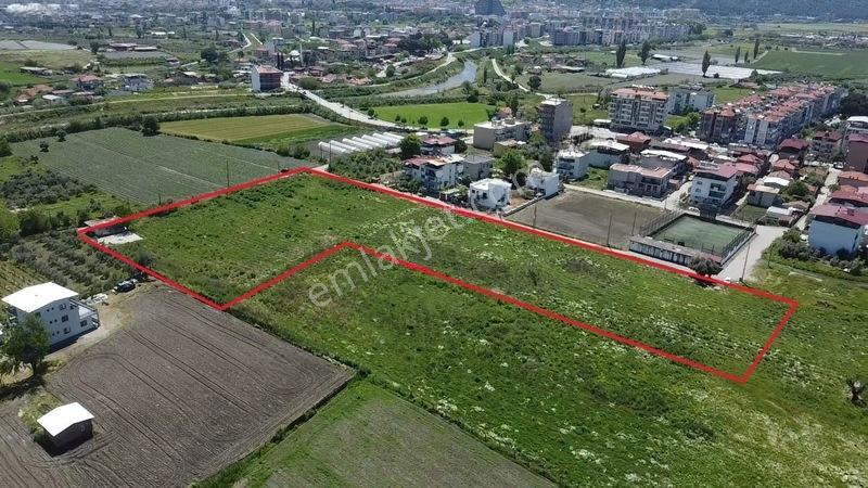 Salihli Yılmaz Mah.imar Sınırında Satılık 12 Dönüm Tarla — fotoğraf 2