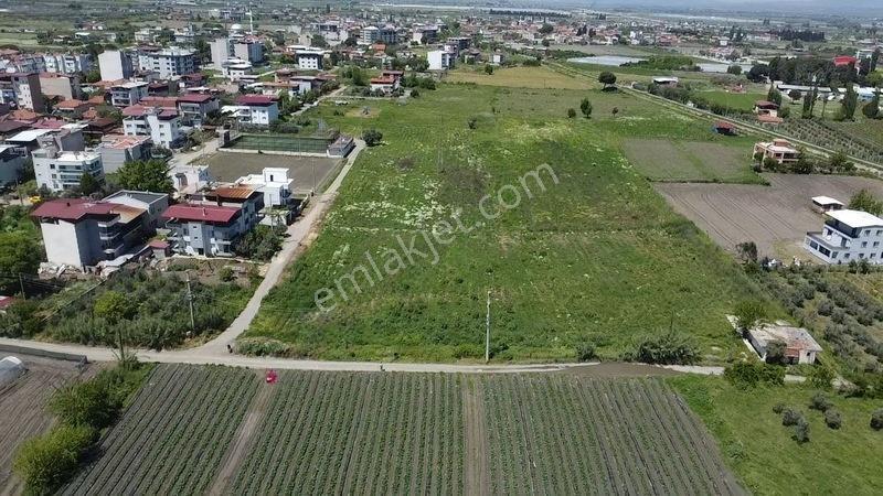 Salihli Yılmaz Mah.imar Sınırında Satılık 12 Dönüm Tarla — fotoğraf 3