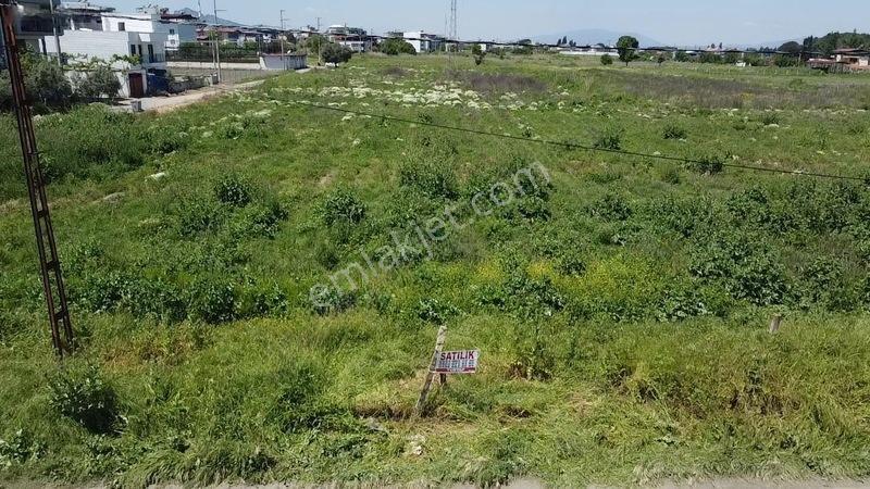 Salihli Yılmaz Mah.imar Sınırında Satılık 12 Dönüm Tarla — fotoğraf 17